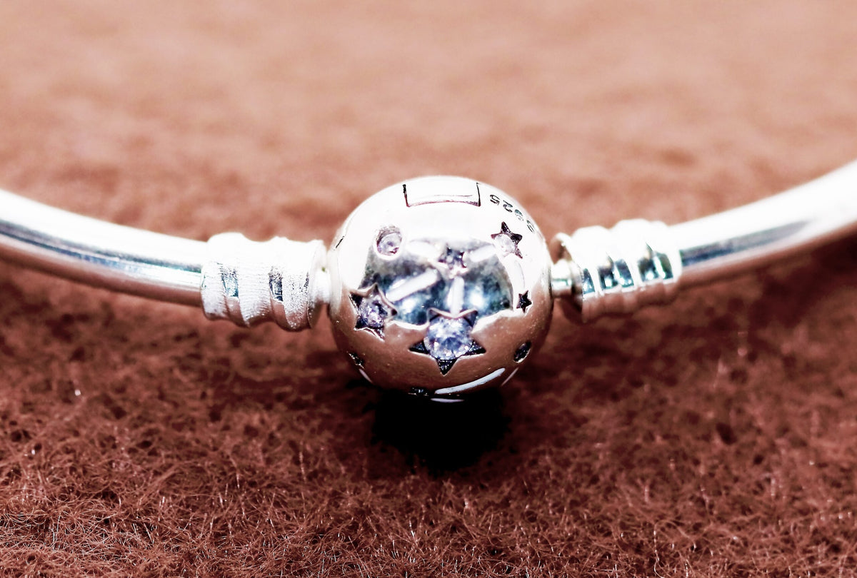 Sterling Silver Bangle Bracelet with Hanging Bird and Sea Life Charms