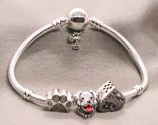 Elegant Sterling Silver Snake Charm Bracelet with Engraved Paw and Bone Charms